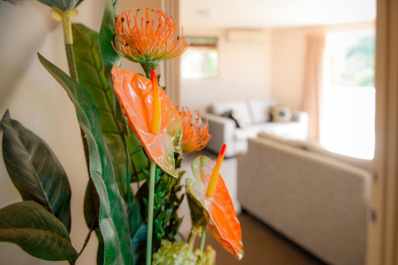 Absolute Bliss Apartments Paihia Exteriér fotografie